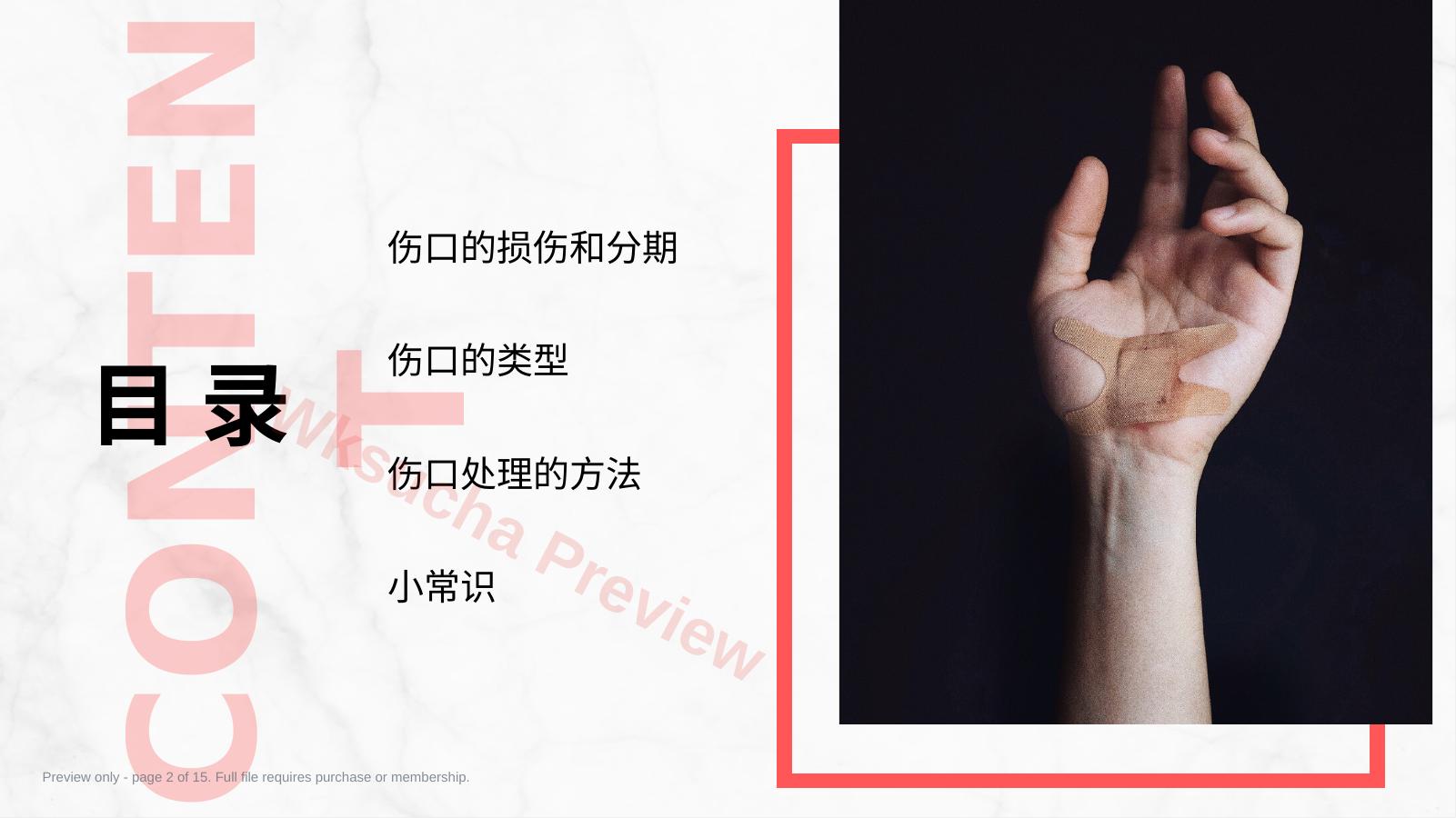预览第 2 页