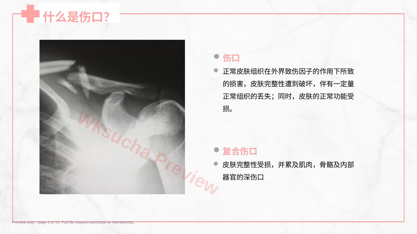预览第 4 页