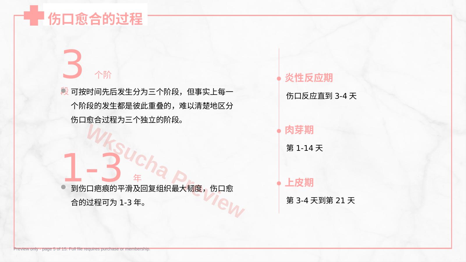 预览第 5 页