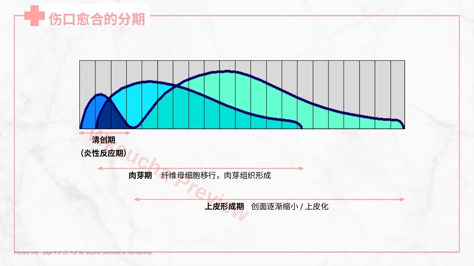 预览第 6 页