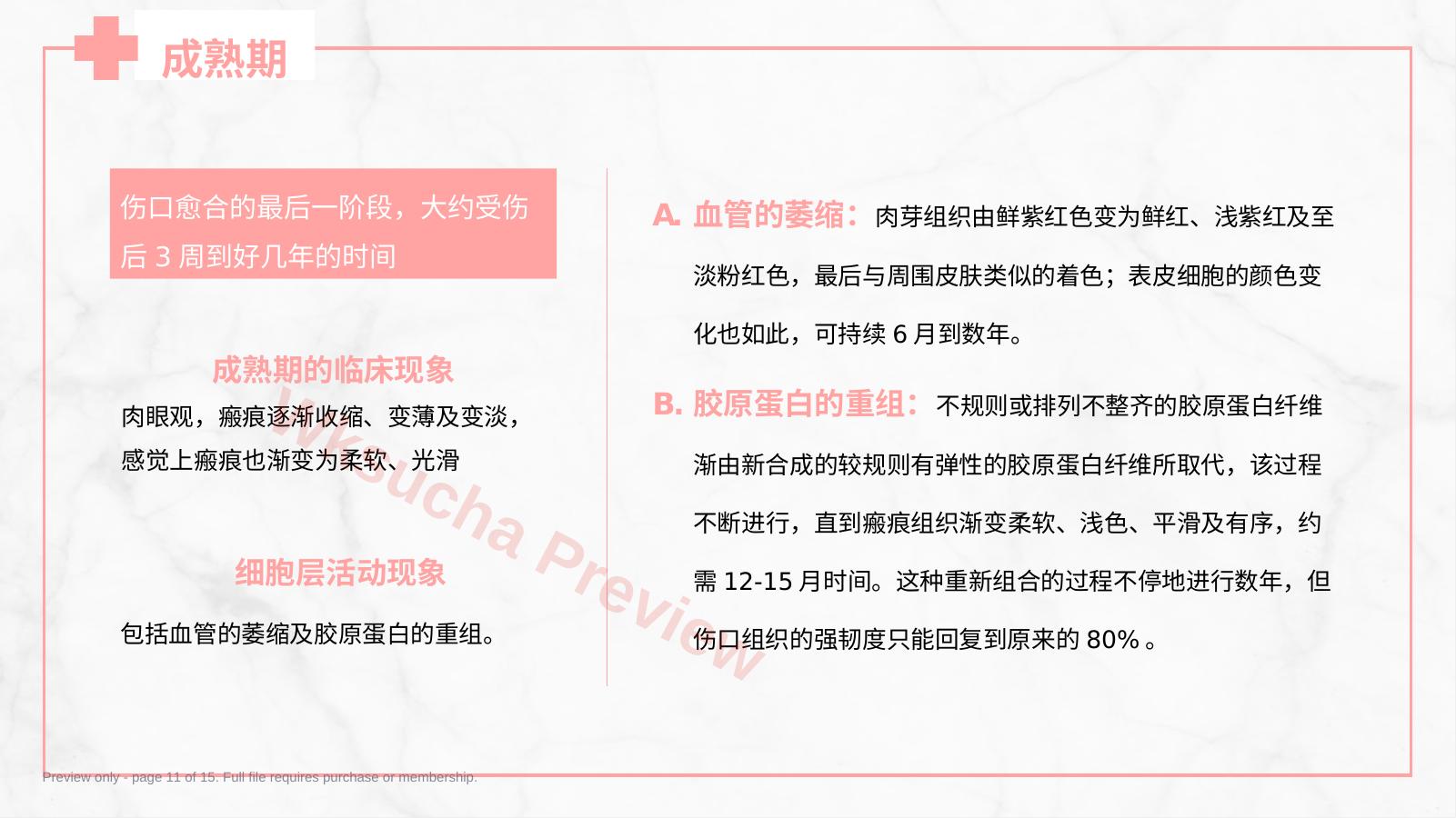 预览第 11 页