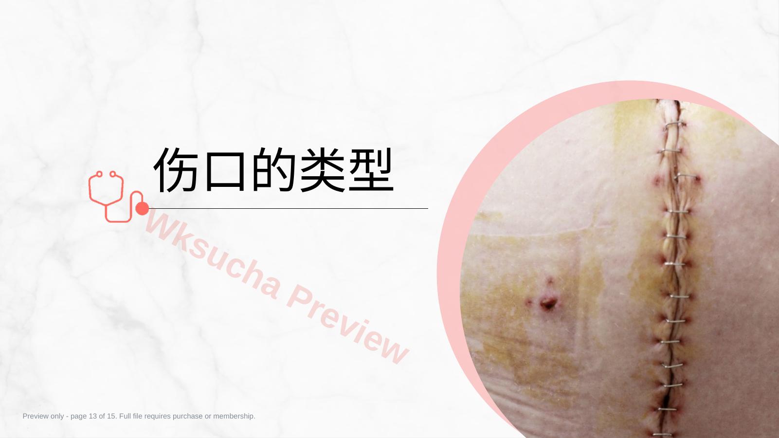 预览第 13 页