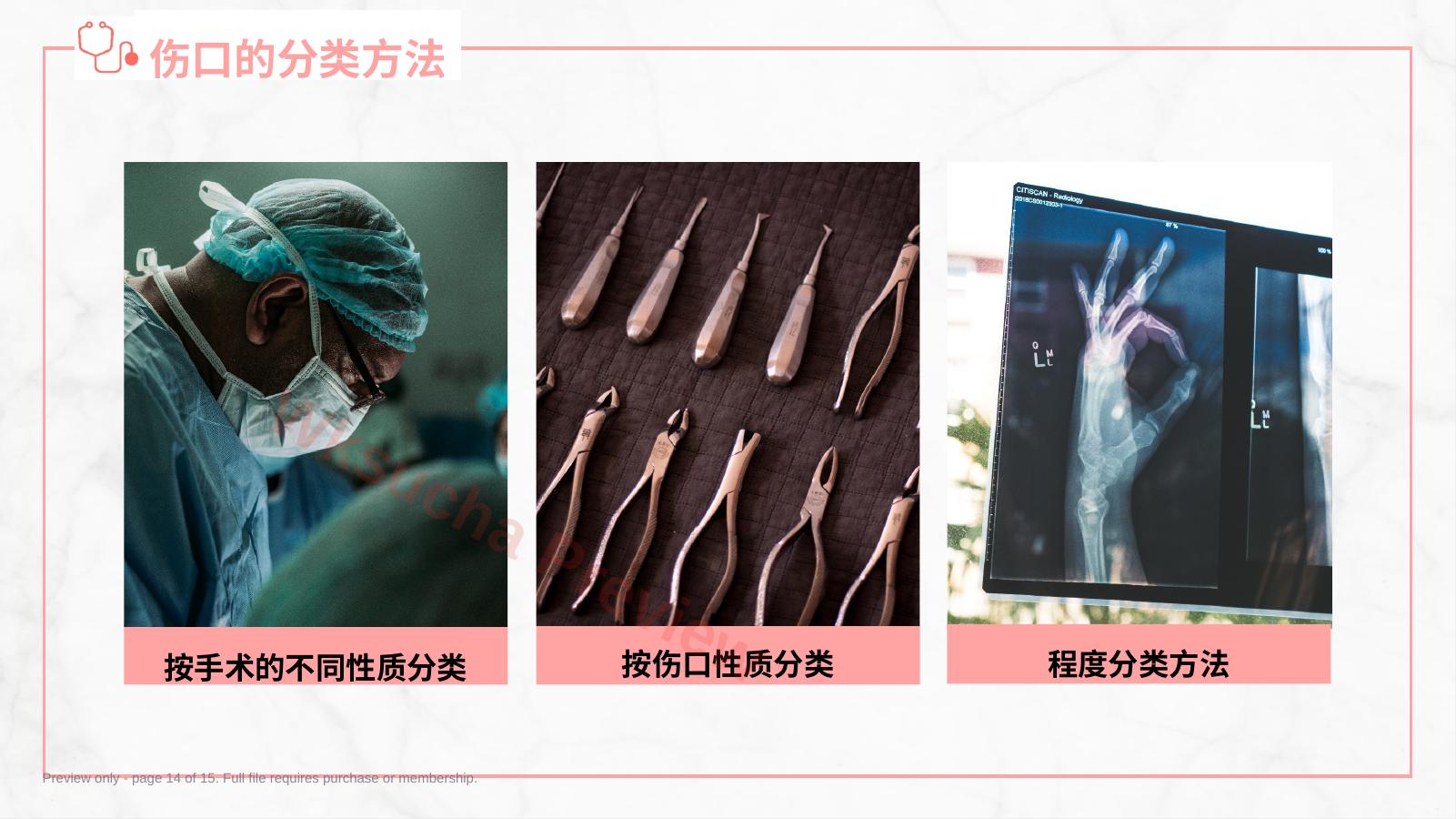 预览第 14 页