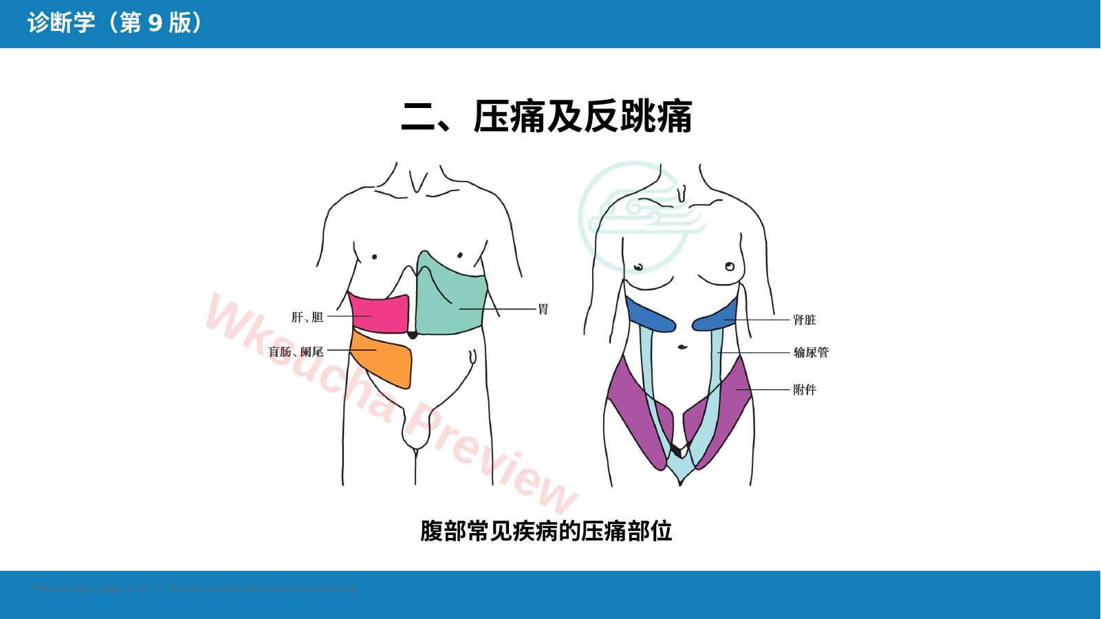 预览第 13 页