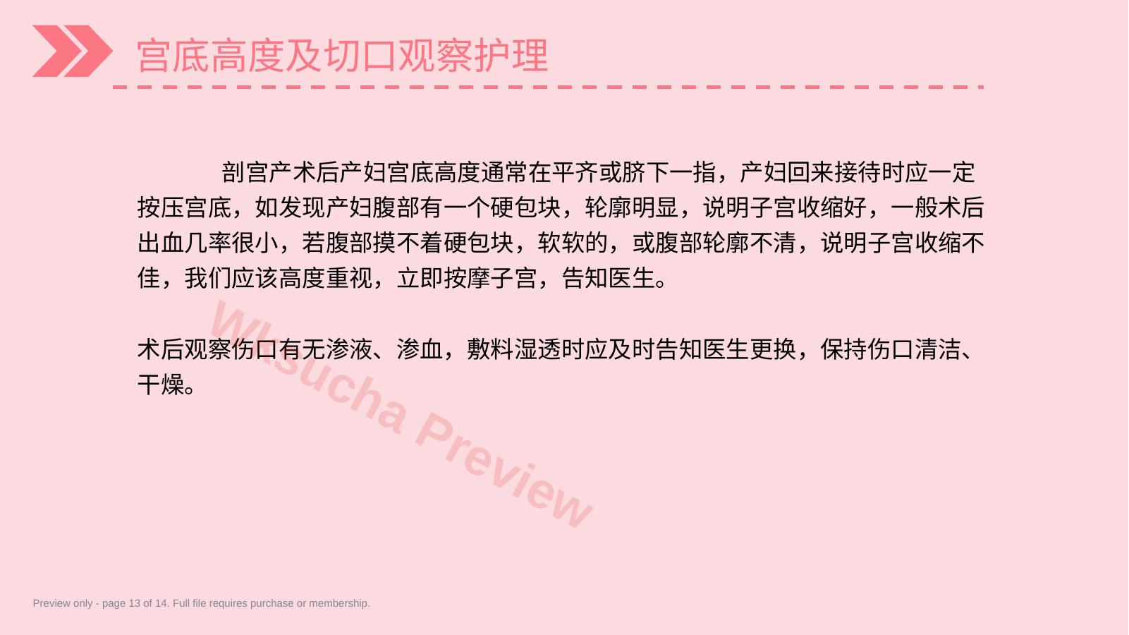 预览第 13 页