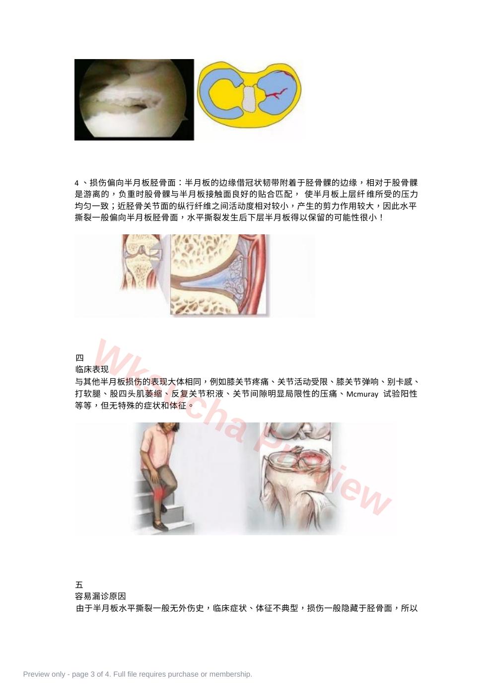 预览第 3 页