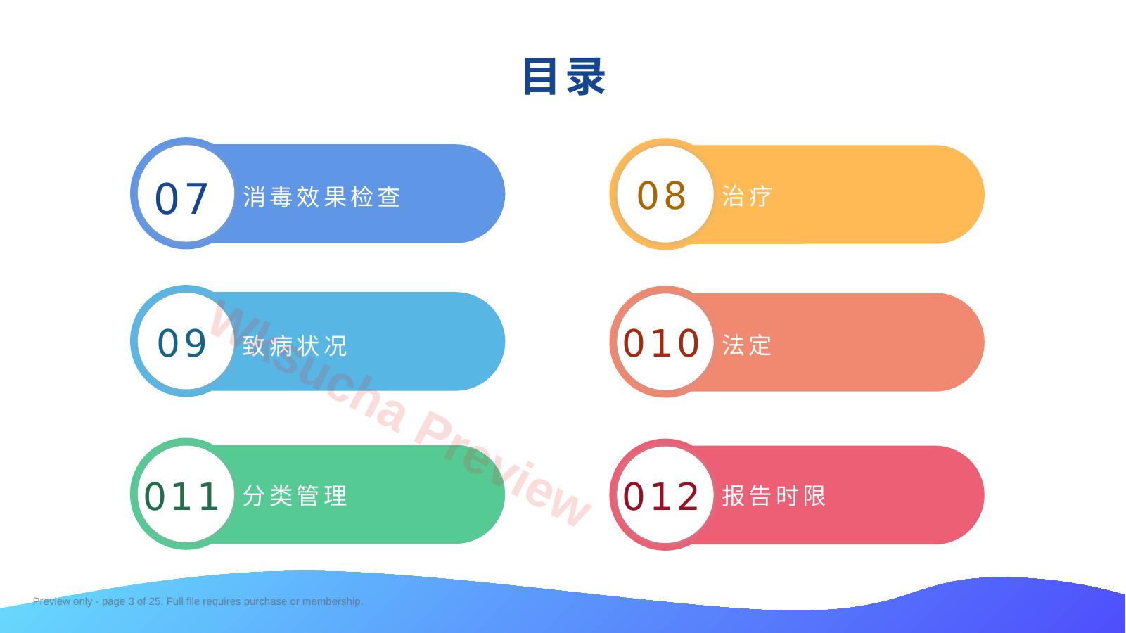 预览第 3 页