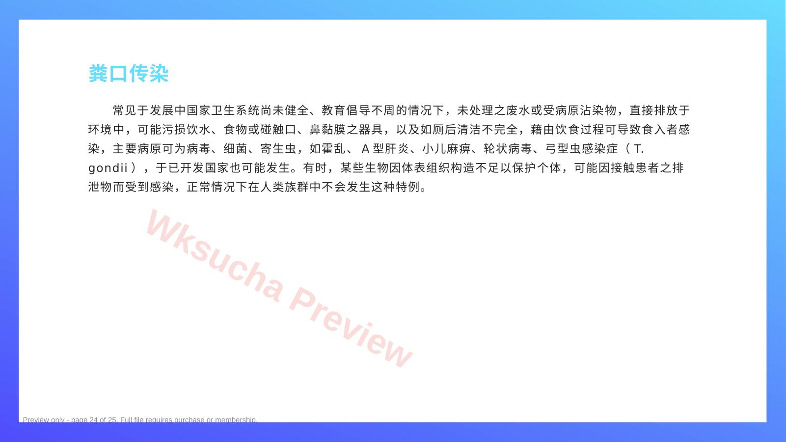预览第 24 页