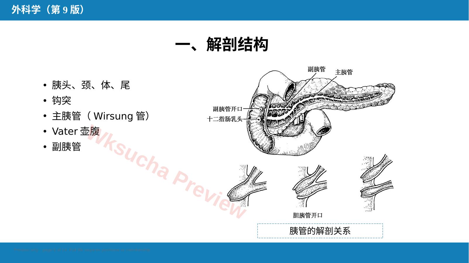 预览第 5 页