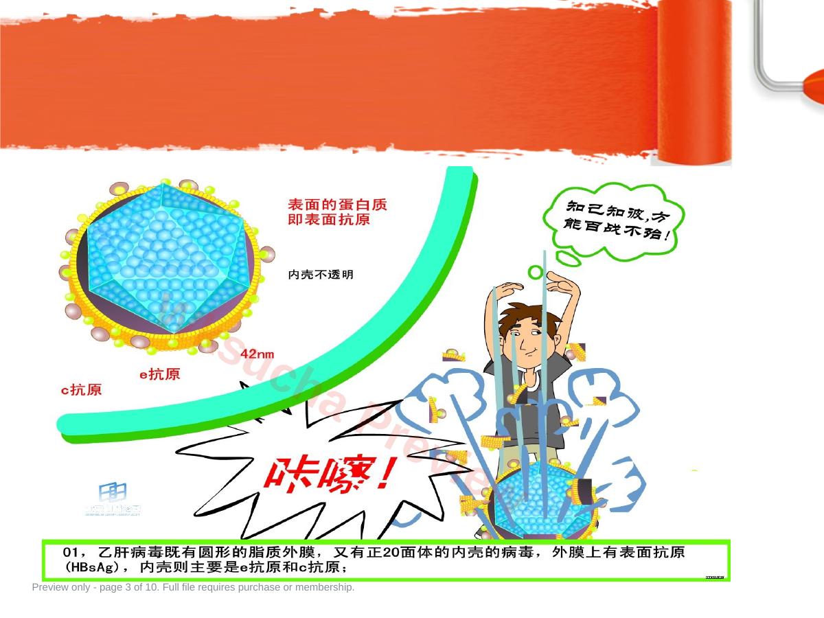 预览第 3 页