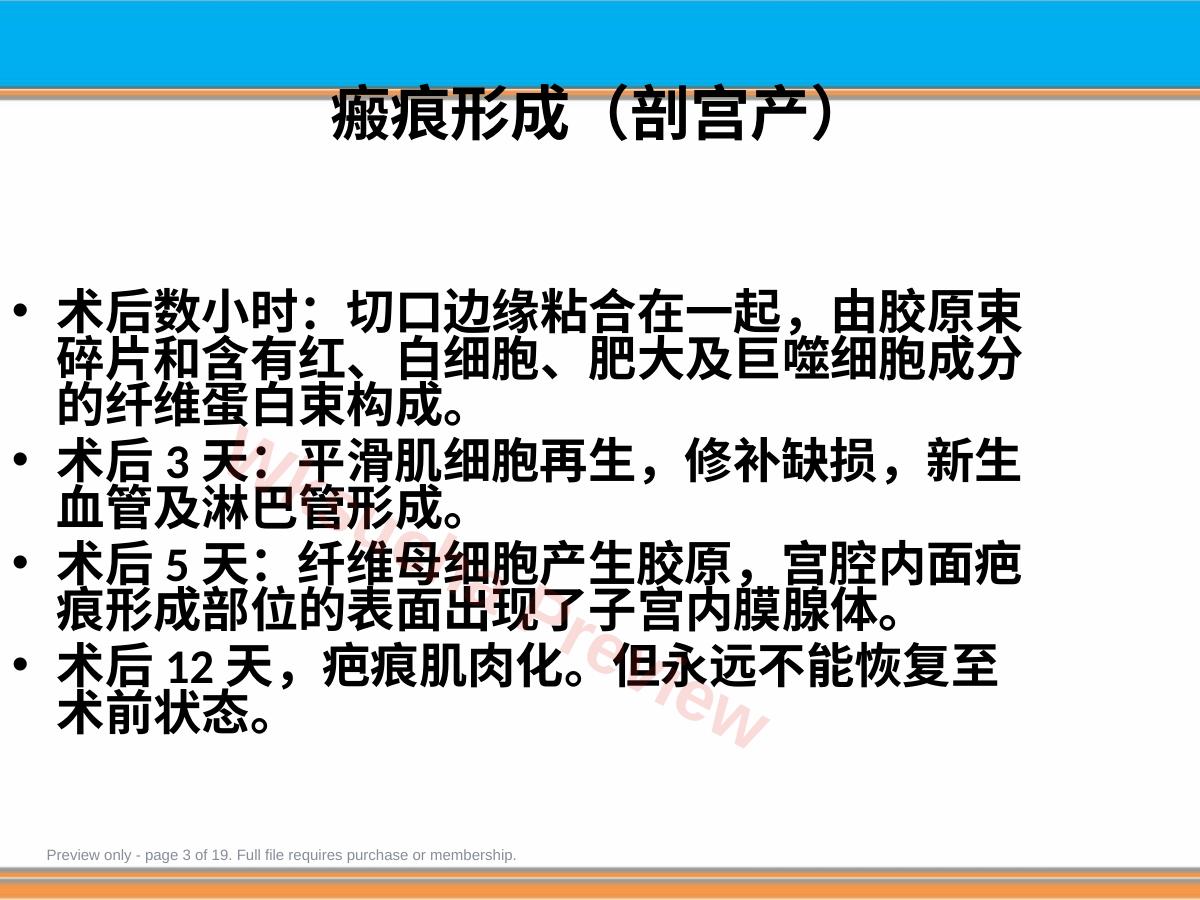 预览第 3 页