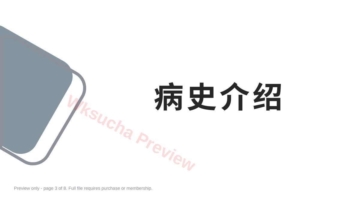 预览第 3 页