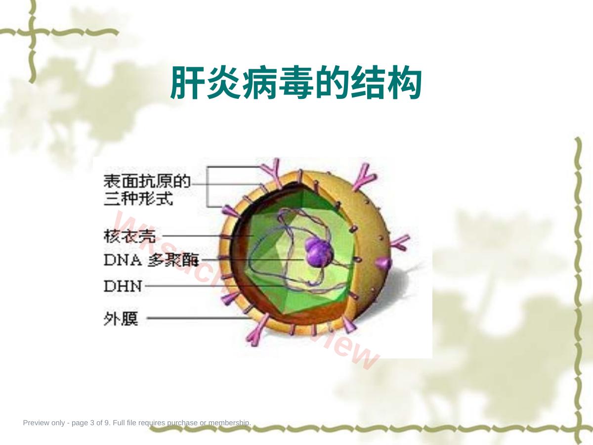 预览第 3 页