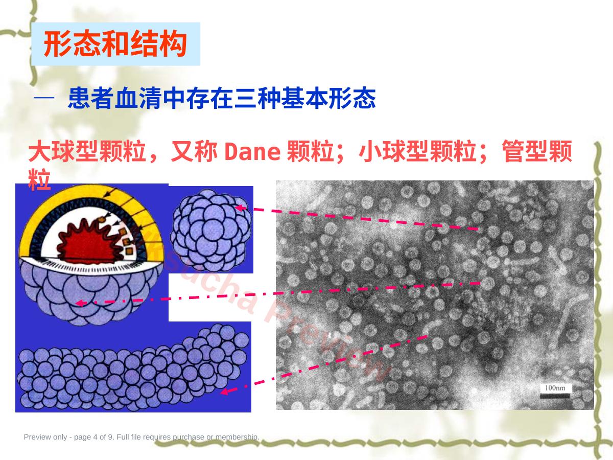 预览第 4 页