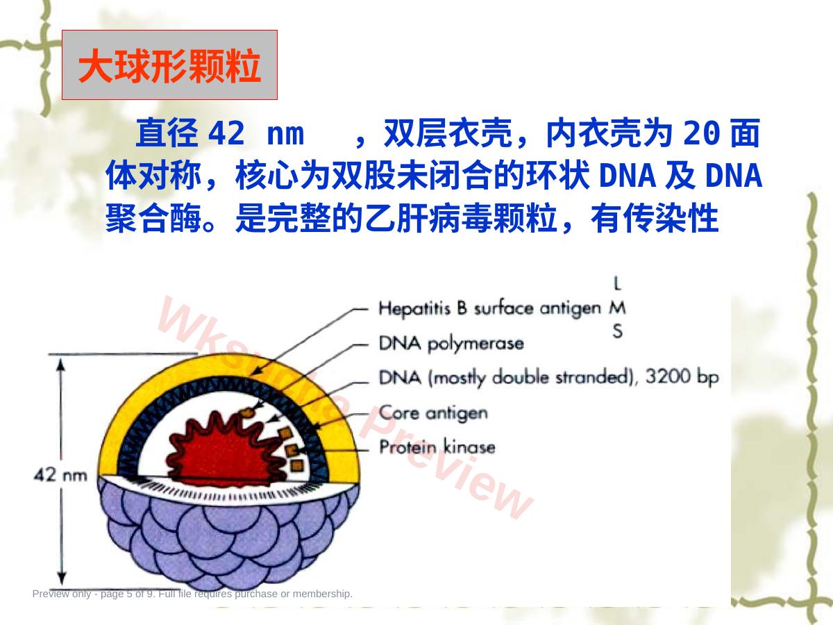 预览第 5 页