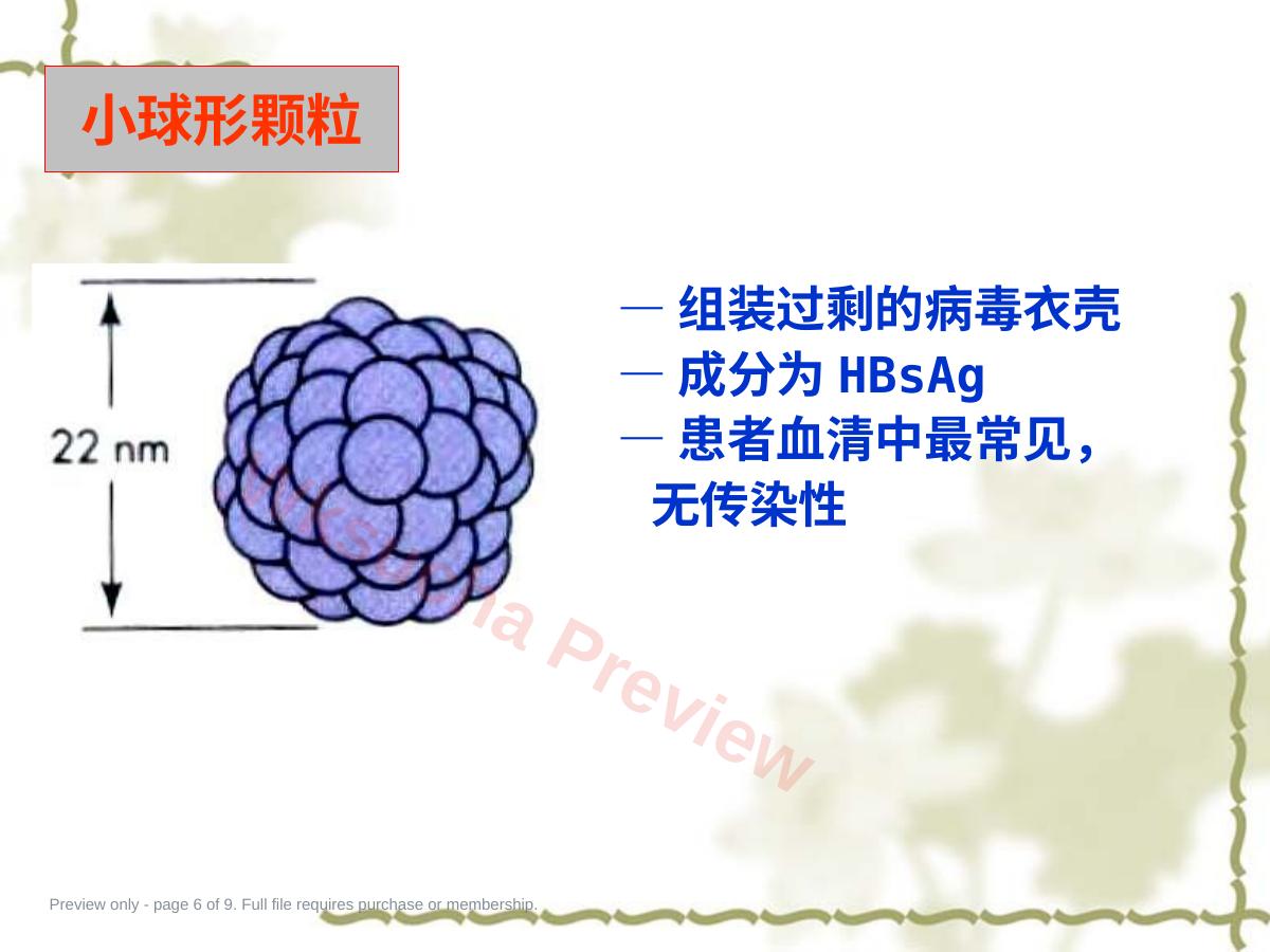 预览第 6 页