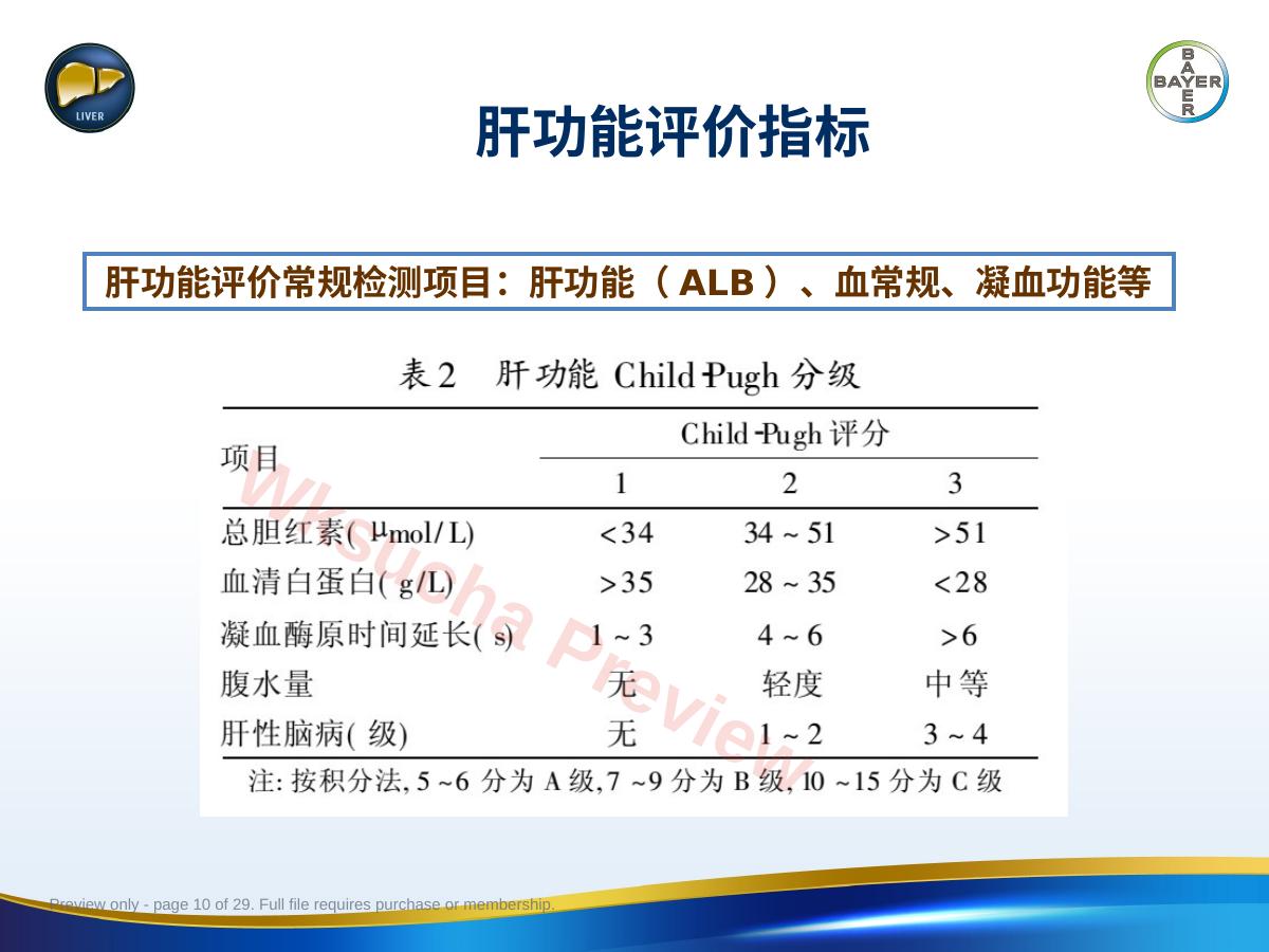 预览第 10 页