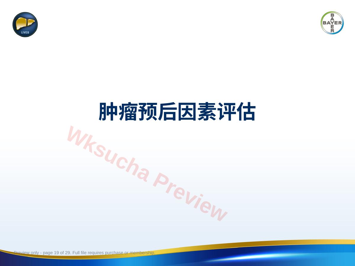 预览第 19 页