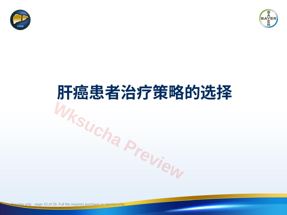 预览第 23 页