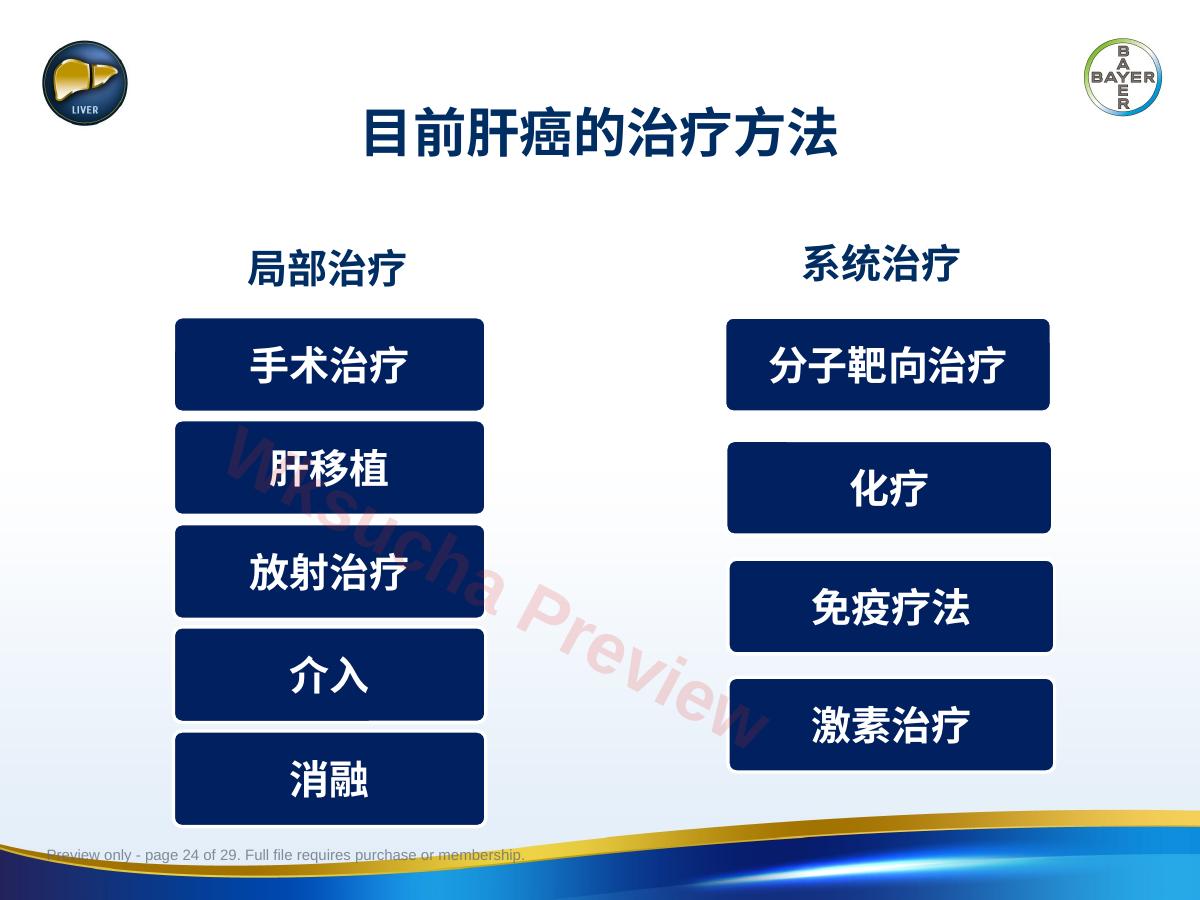 预览第 24 页