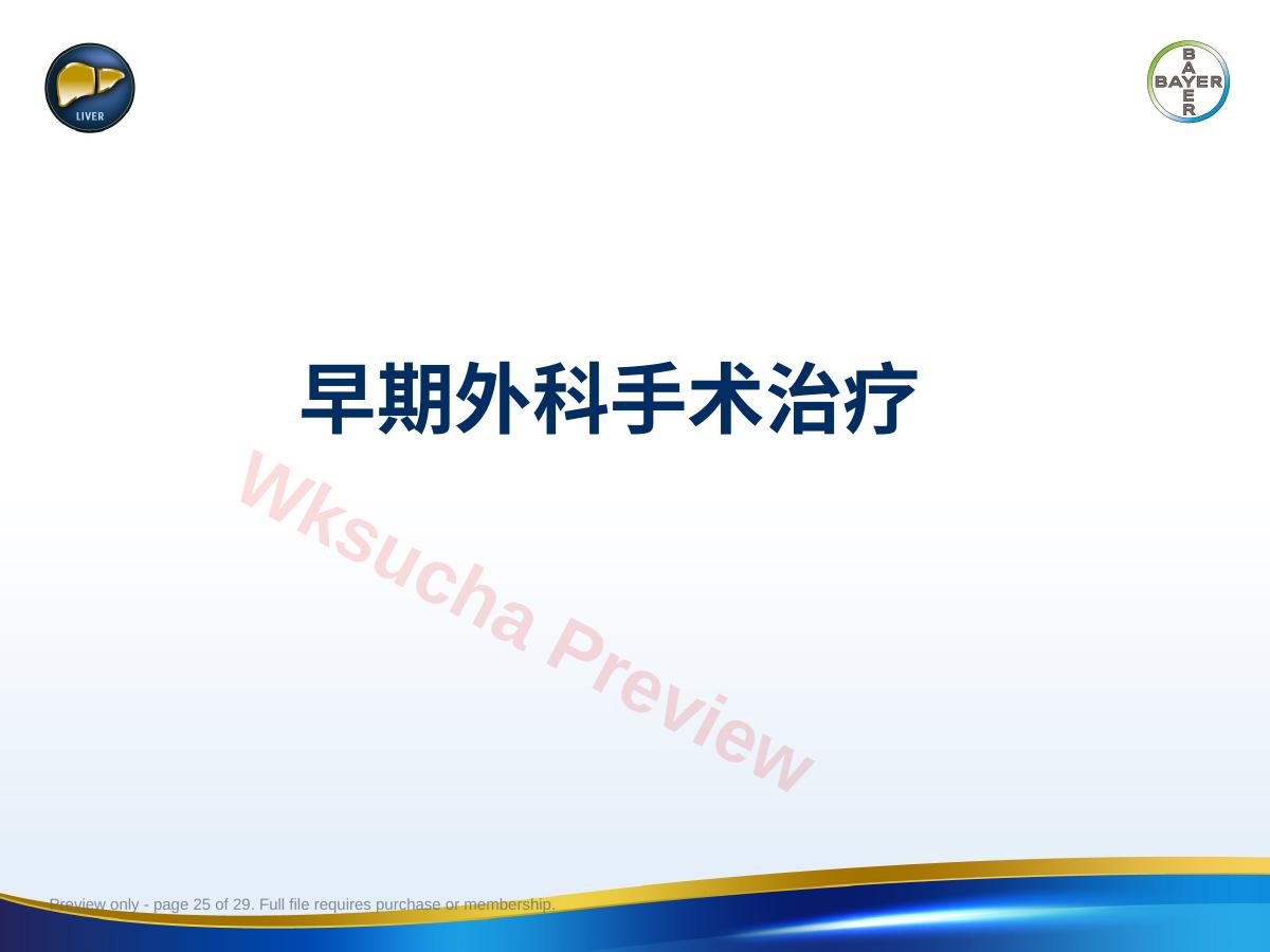 预览第 25 页