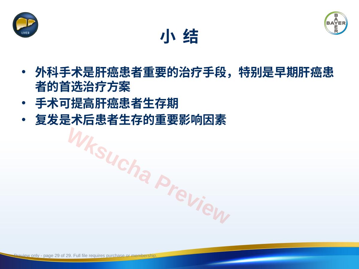 预览第 29 页