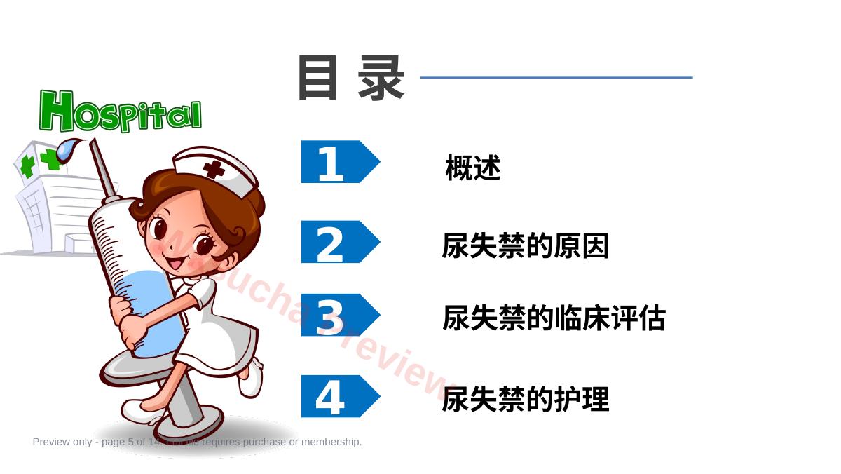 预览第 5 页