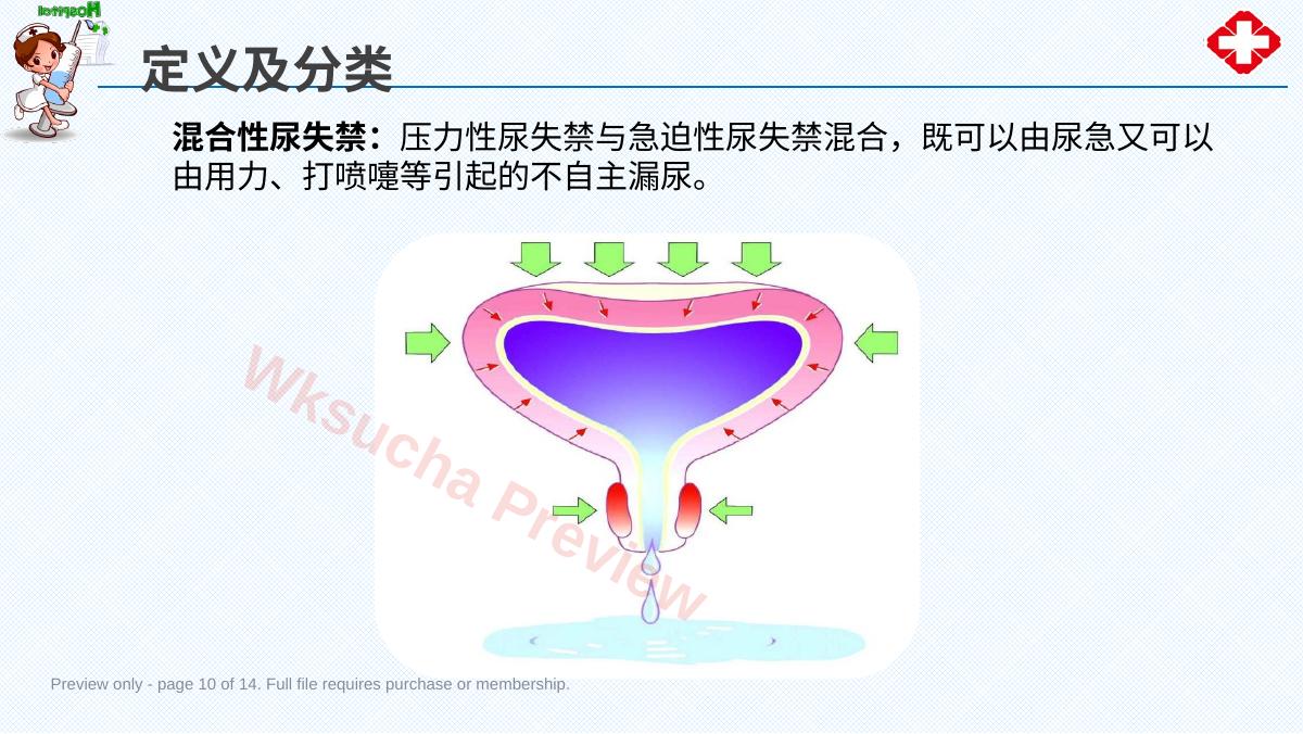 预览第 10 页