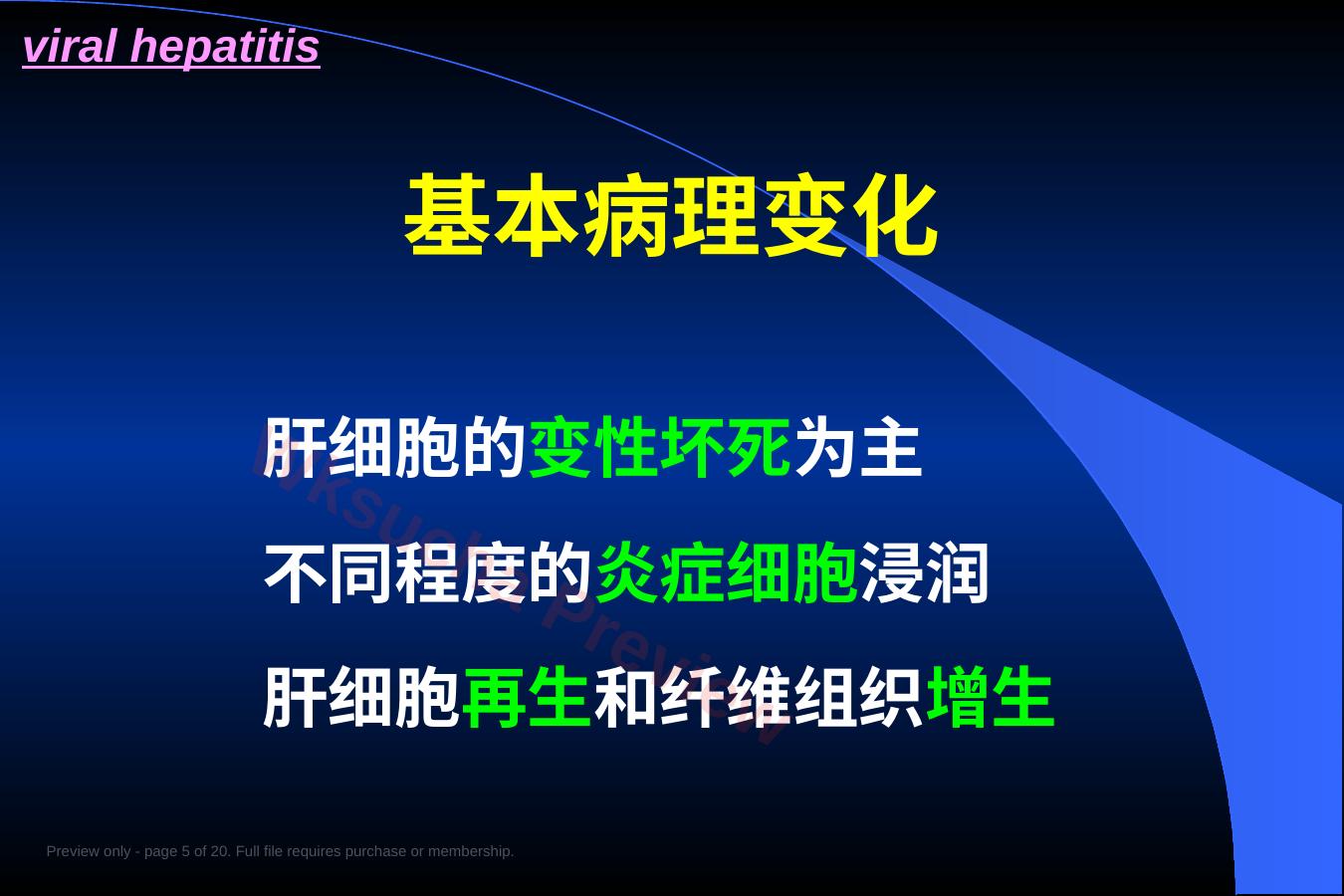 预览第 5 页