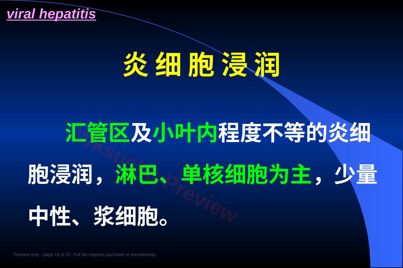 预览第 19 页
