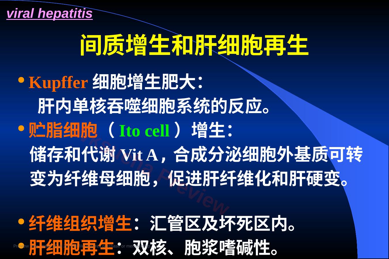 预览第 20 页