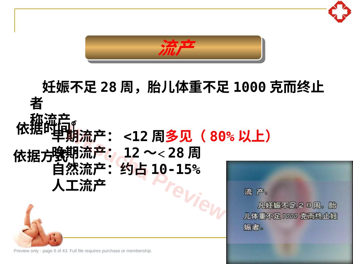 预览第 6 页