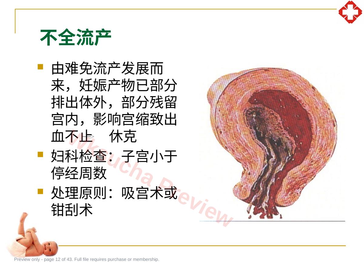 预览第 12 页