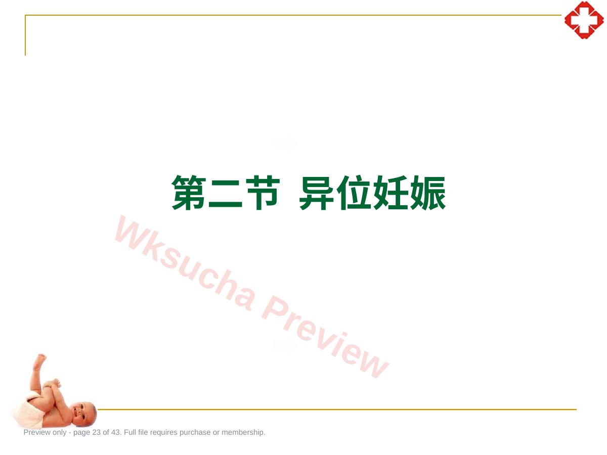 预览第 23 页