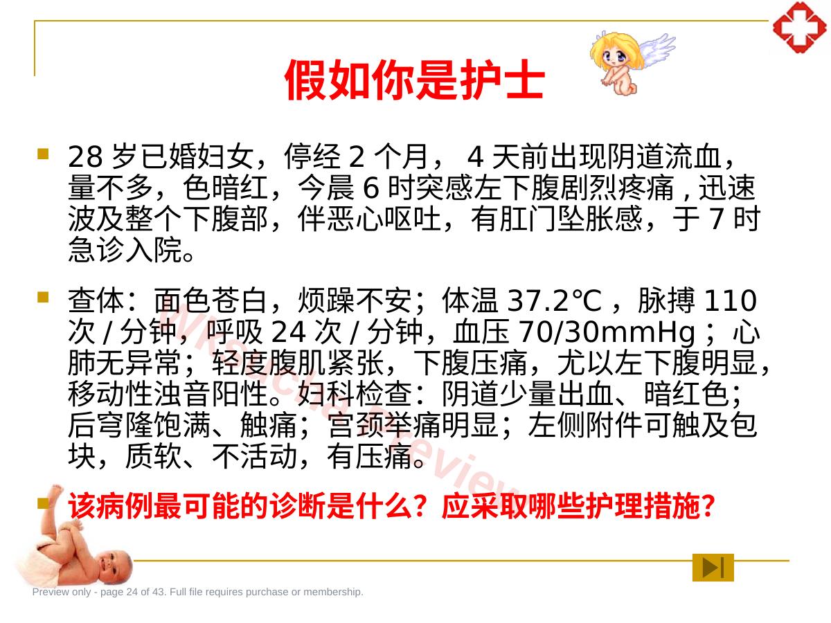 预览第 24 页
