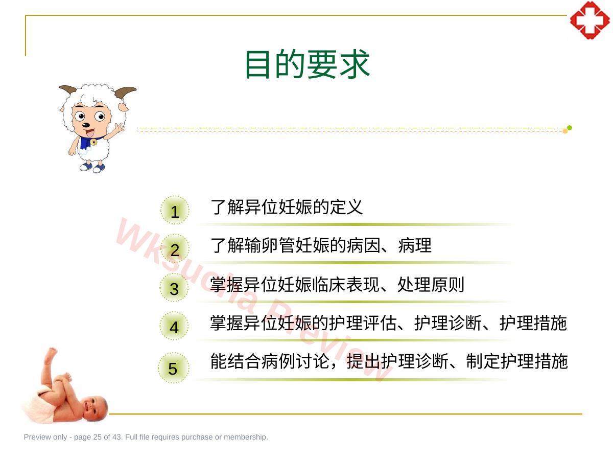 预览第 25 页