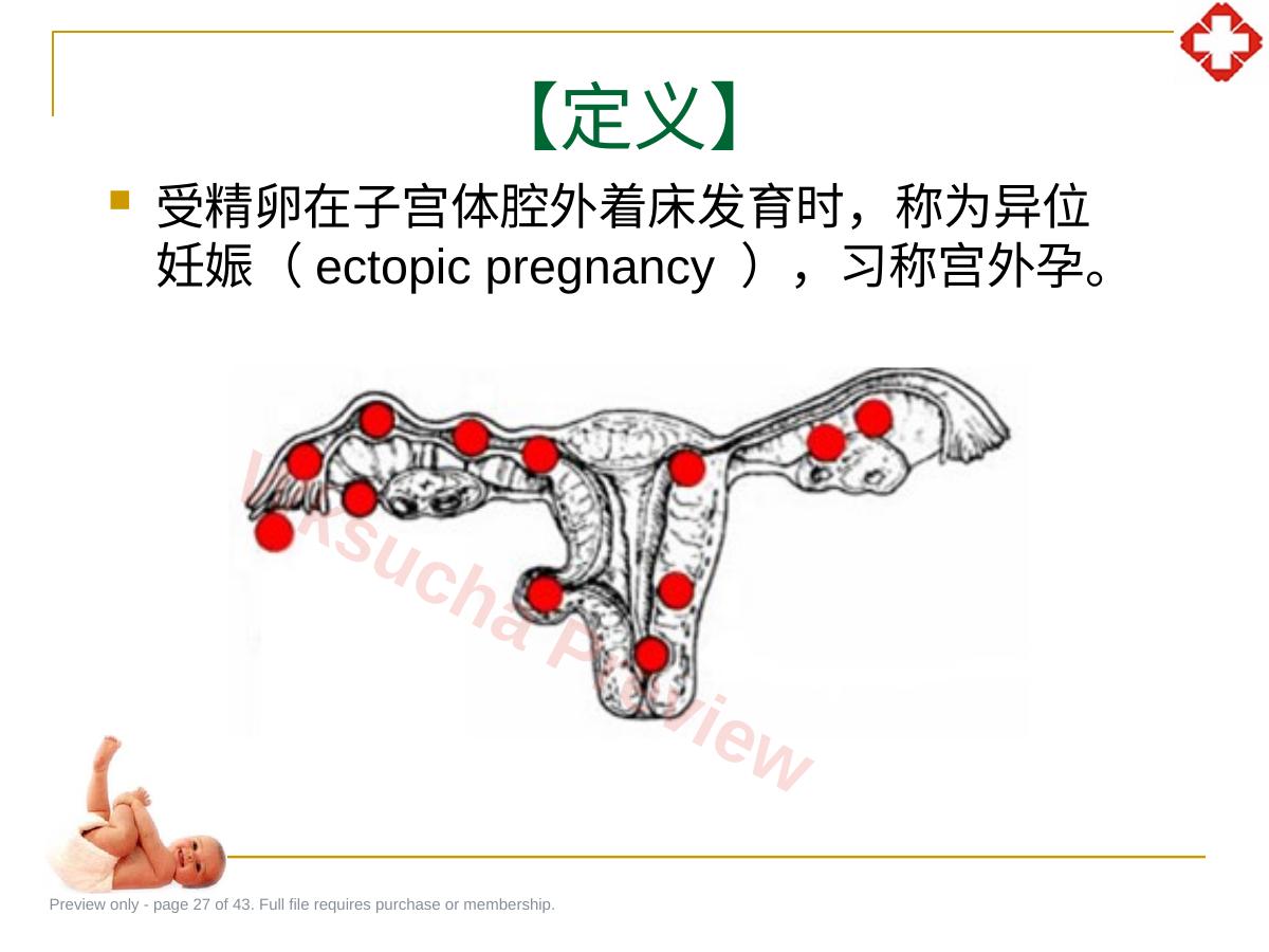 预览第 27 页