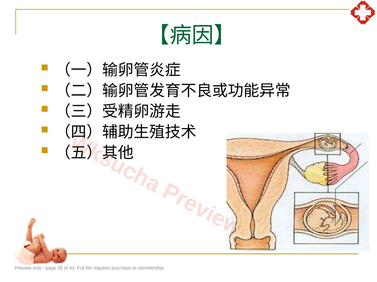 预览第 28 页