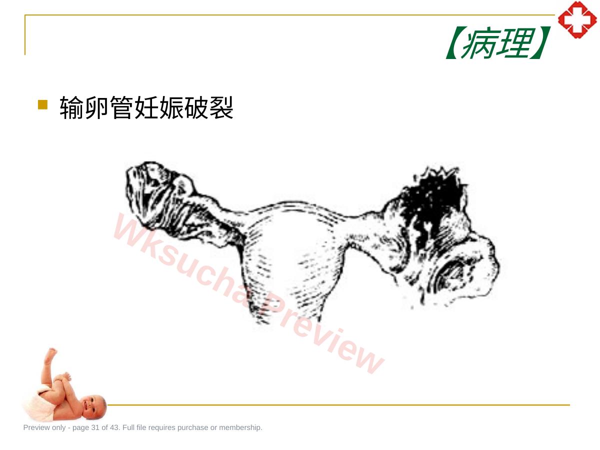 预览第 31 页