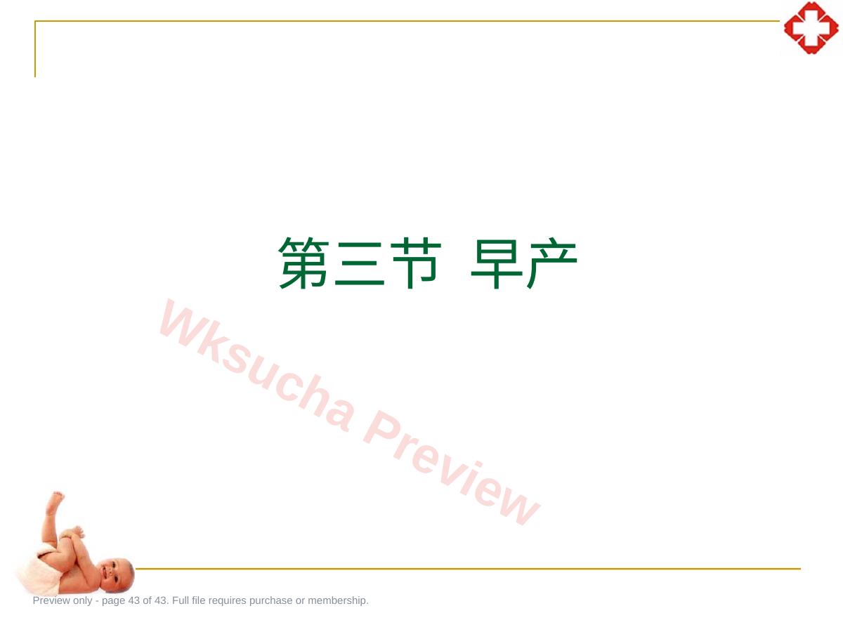预览第 43 页