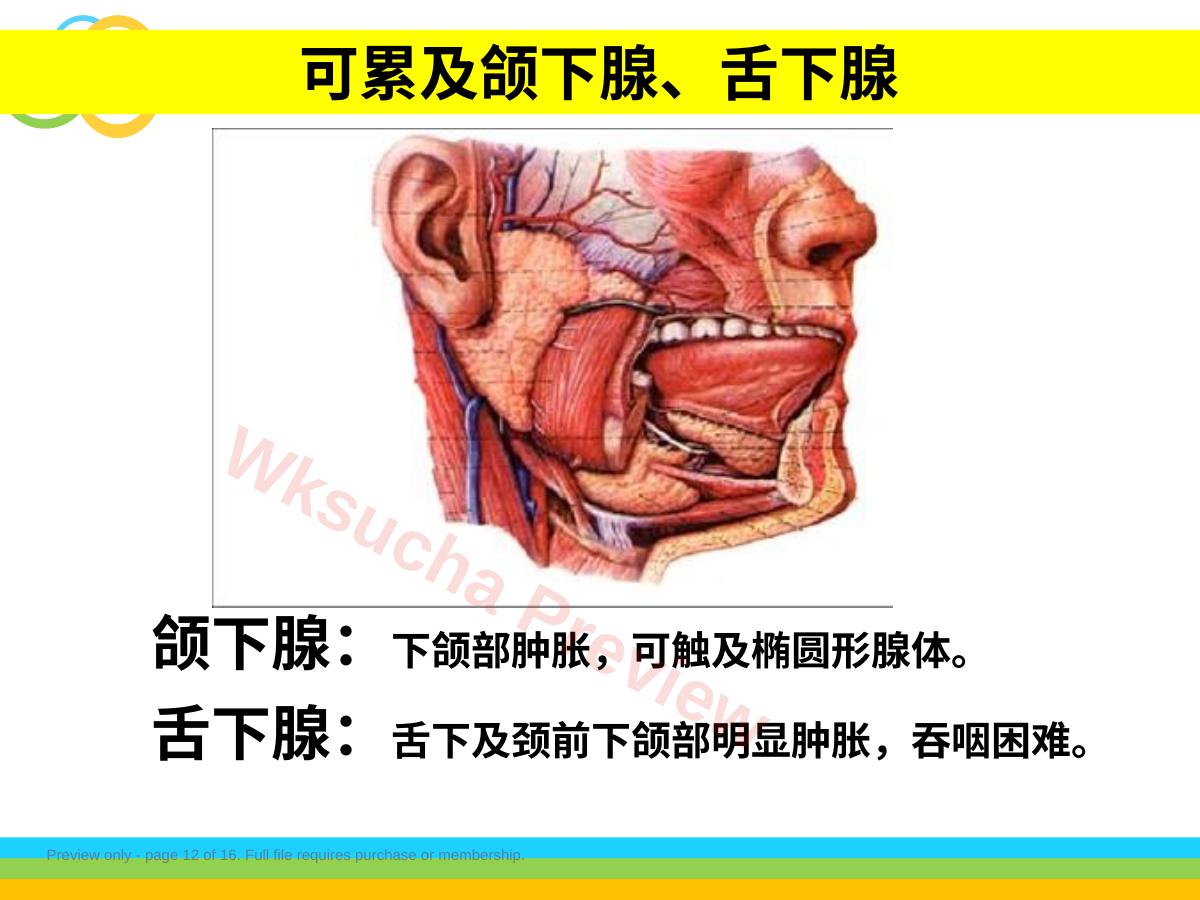 预览第 12 页