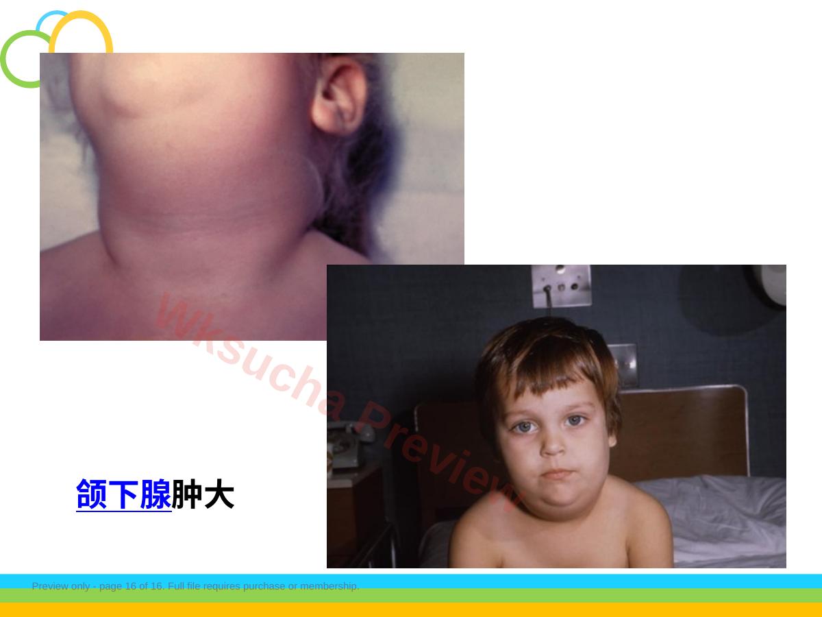 预览第 16 页