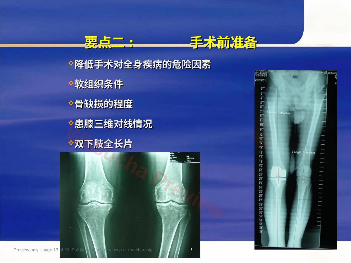 预览第 13 页