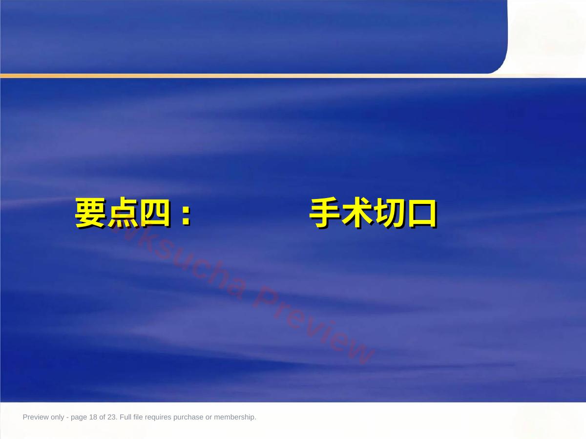 预览第 18 页
