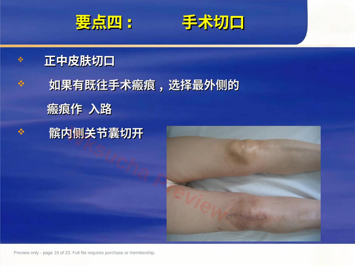 预览第 19 页