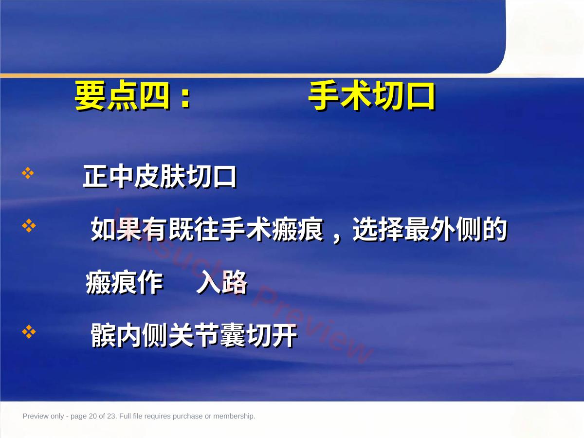 预览第 20 页