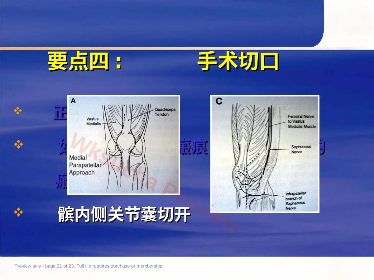 预览第 21 页