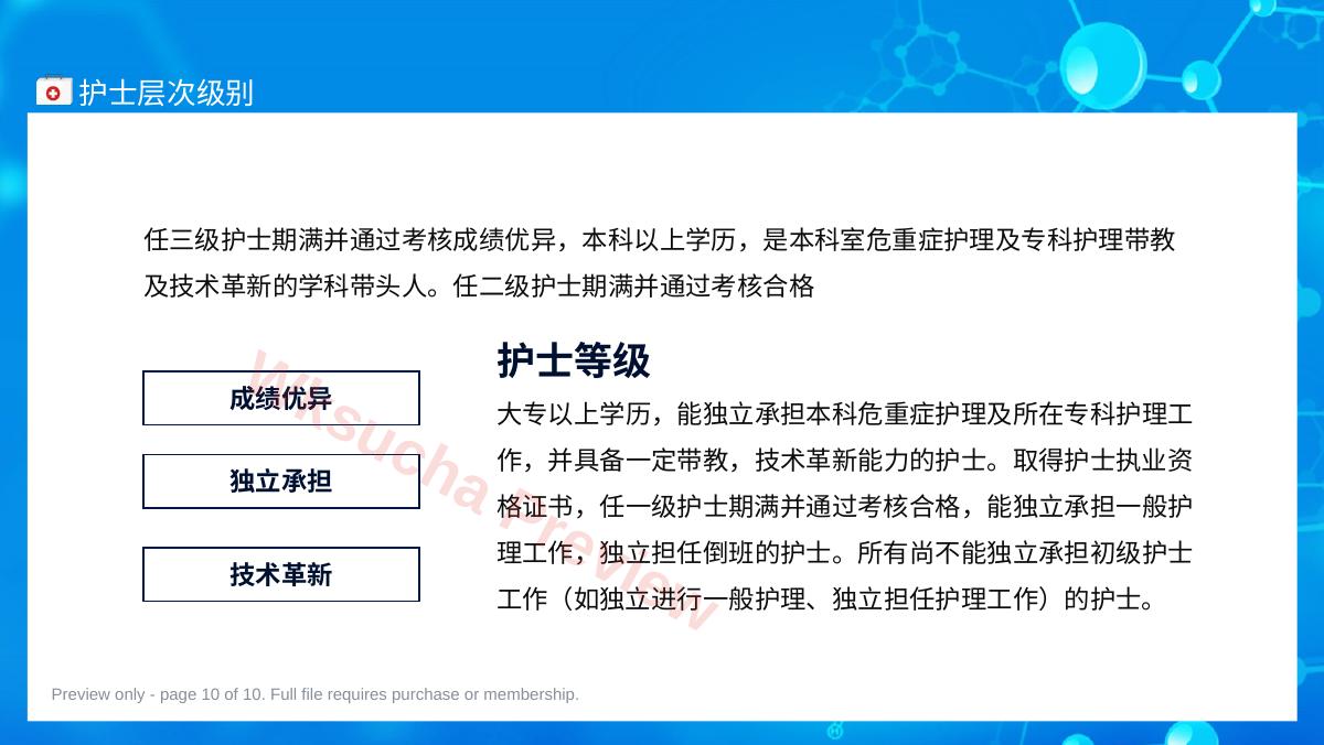 预览第 10 页