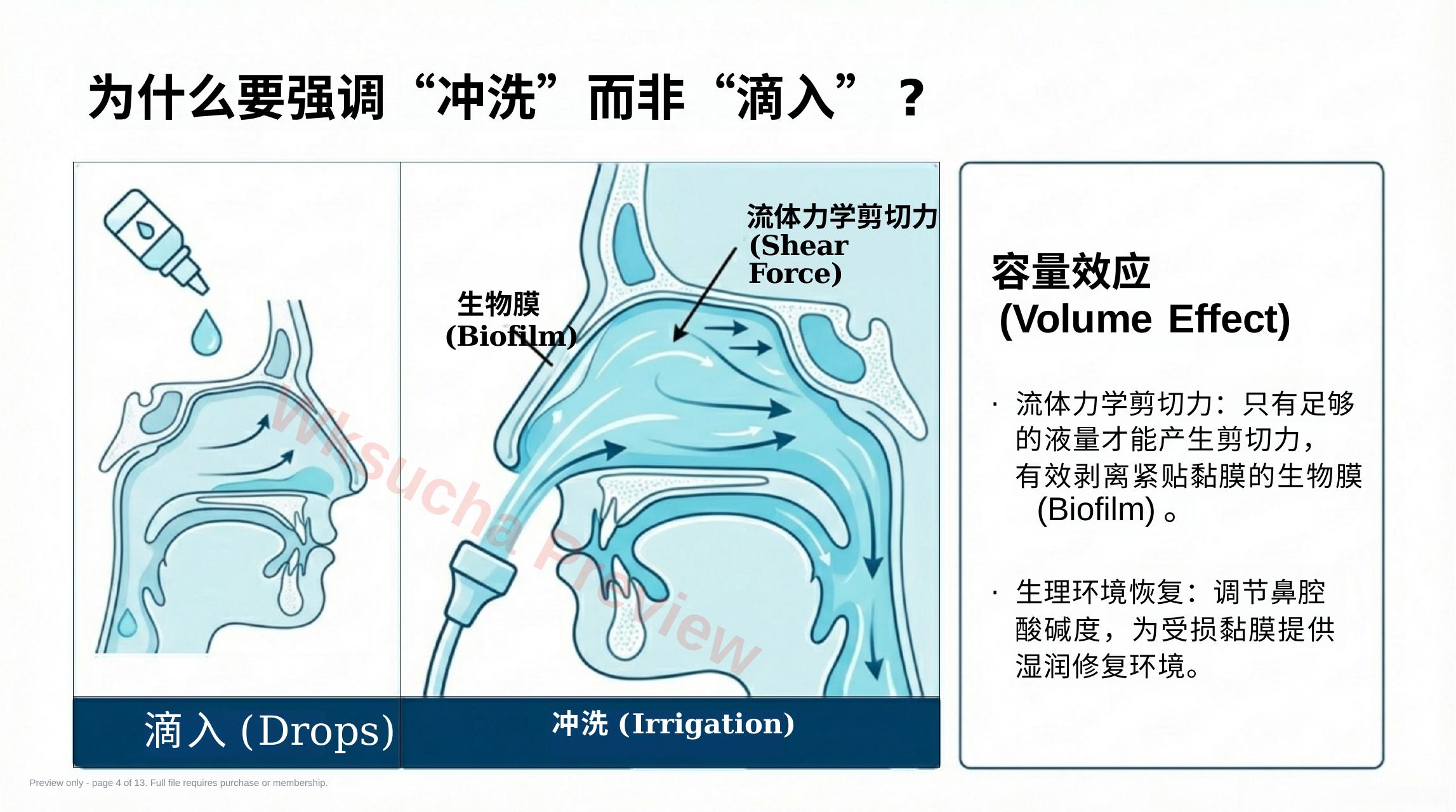 预览第 4 页