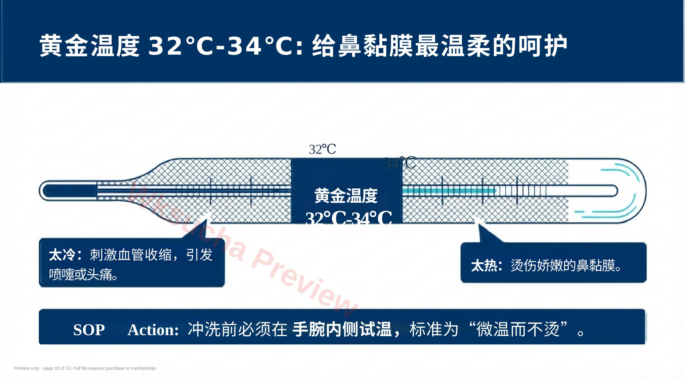 预览第 10 页